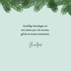 Kaartje2go.nl | Kerstkaart zingende katten