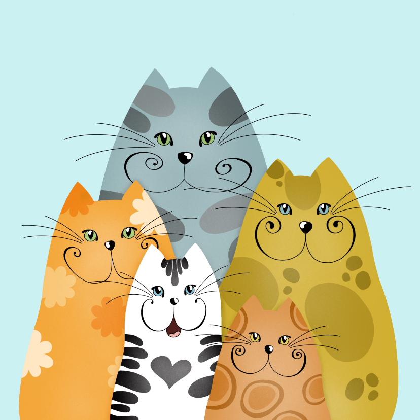 Kaartje2go.nl | Wenskaart nieuwsgierige katten