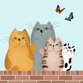 Kaartje2go.nl | Beterschapskaart katten op een muurtje