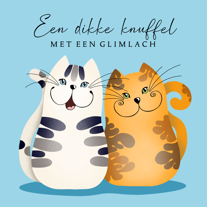 Kaartje2go.nl | Beterschapskaart - Knuffelige katten