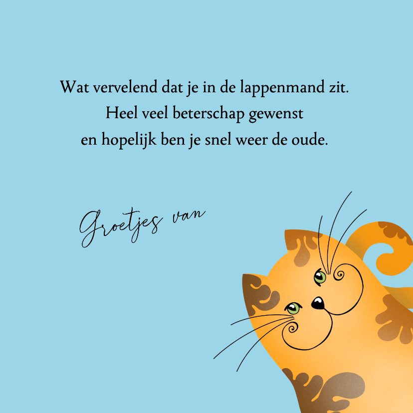 Kaartje2go.nl | Beterschapskaart - Knuffelige katten