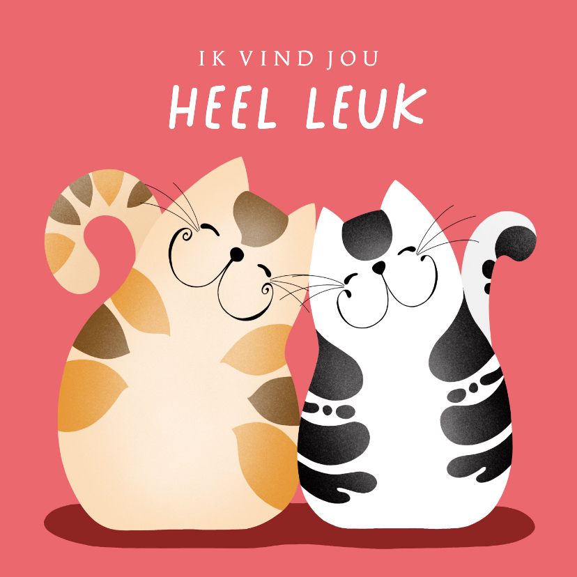 Kaartje2go.nl | Liefde en vriendschap - twee katten knuffelen