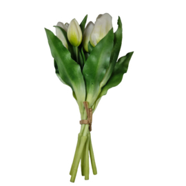 Bos tulpen wit (kort)