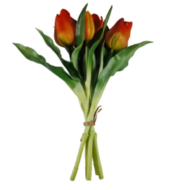 Bos tulpen rood (kort)