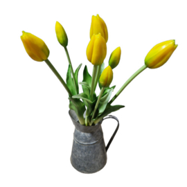 Bos tulpen geel (lang)