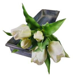 Bos tulpen wit (kort)