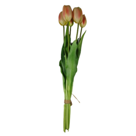 Bos tulpen zalm (lang)