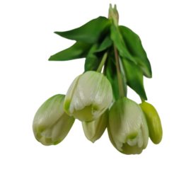 Bos tulpen wit (lang)