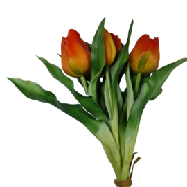 Bos tulpen rood (kort)