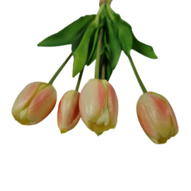 Bos tulpen zalm (lang)
