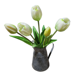 Bos tulpen wit (lang)