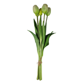 Bos tulpen wit (lang)