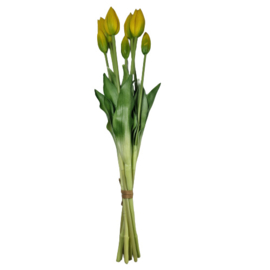 Bos tulpen geel (lang)