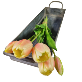 Bos tulpen zalm (lang)