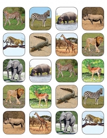 Safari-Tiere - 20 Aufkleber