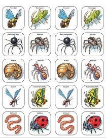 Enge Insecten Stickers - 20 Stickers