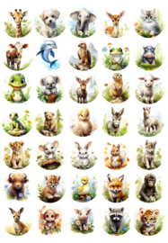 Stickervel Animal Life - 35 stickers