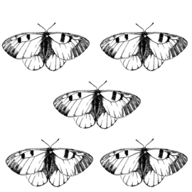 5 Temporary Butterfly Tattoos