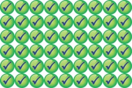 Groene Vinkjes Stickers - 5 Stickervellen - 270 Beloningsstickers