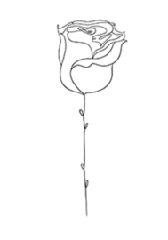 5 Temporary Tattoos Rose