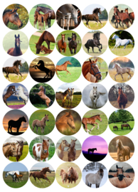 Stickervel Paarden - 35 stickers