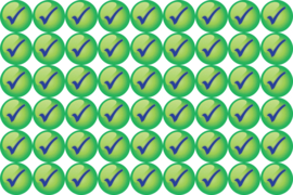 Beloningsstickers Groene Vinkjes Groot 19mm- 54 Stickers