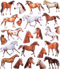 Feuille d'autocollants de luxe sur les chevaux