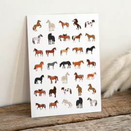 Paarden II Stickers