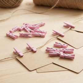 Mini Knijpers Roze - 24 Mini Knijpertjes Roze
