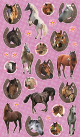 Paarden Stickervel