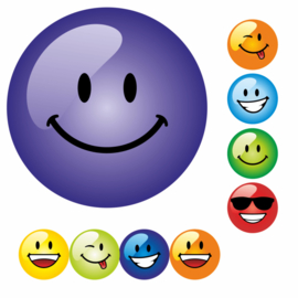 2 Beloningskaarten met 54 grote stickers - Smiley