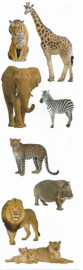 Wilde Safari Beesten - 8 Stickers