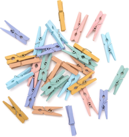 Mini Knijpers Pastel - 30 Houten Mini Knijpertjes
