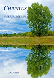 Christus weerspiegelen. ( Bijbels dagboek ) ( Ook als E-book te bestellen )