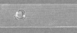 DIANA Ringe 6/10mm transparent