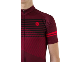 AGU Essential Striped fietsshirt korte mouwen - bordeauxrood