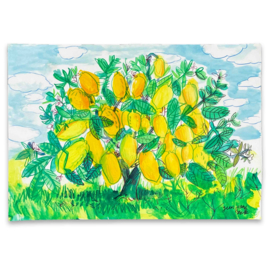 Limoni - 35 x 50 cm