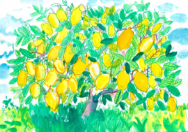Art print - Limoni