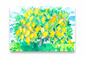 Art print - Limoni