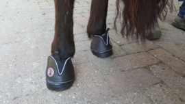 Equine fusion All Terrain ACTIVE