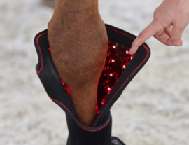 Beenpad Ultimate