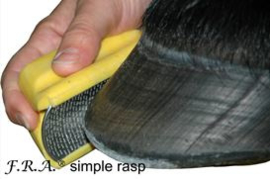 Simple rasp