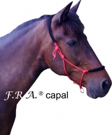 Capal