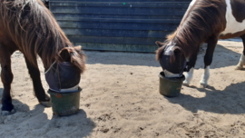 Welk voer geef je aan je paard?