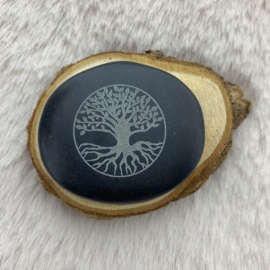 Hotstone Tree of life