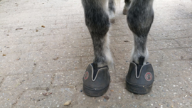 Equine fusion All Terrain ACTIVE