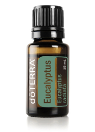 Eucalyptus