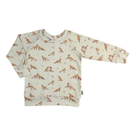 Kleine Baasjes Organic - Raglan Sweater Rib Fox
