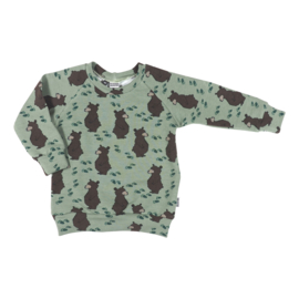 Kleine Baasjes Organic - Raglan Sweater Bears Green