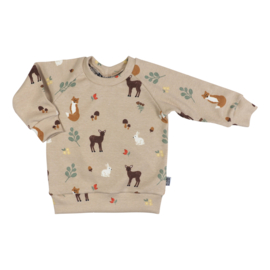 Kleine Baasjes Organic - Raglan Sweater Rib Forest Animals